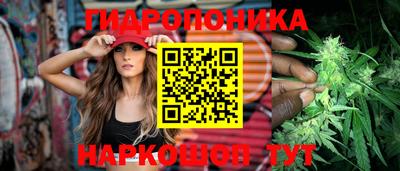 прущие грибы Кулебаки