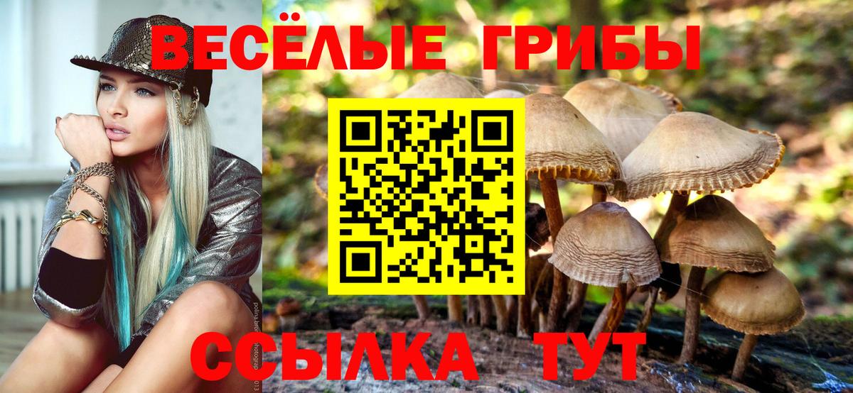 Галлюциногенные грибы мицелий Калуга