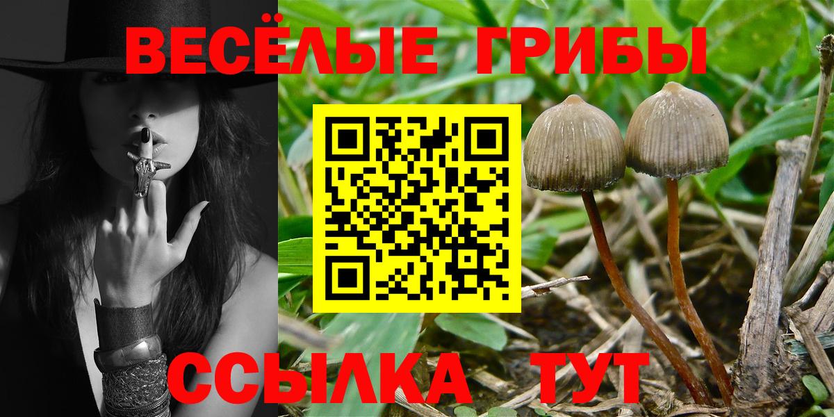 Псилоцибиновые грибы ЛСД  Вход с VPN  Калуга  Галлюциногенные грибы Cubensis 
